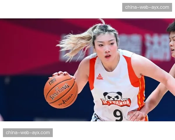 球员工会报告：WNBA球员平均职业生涯收入实现五连增